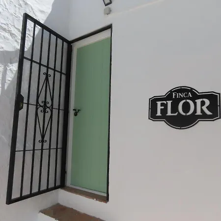 Bed & Breakfast Flor Canillas de Albaida
