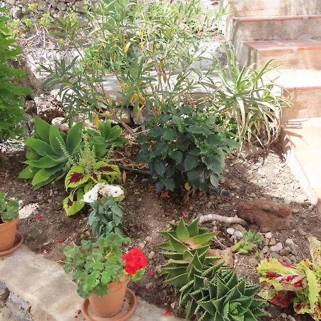 Flor Bed & Breakfast Canillas de Albaida